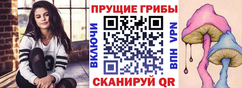 KRAKEN ссылка  Шелехов  Псилоцибиновые грибы ЛСД 